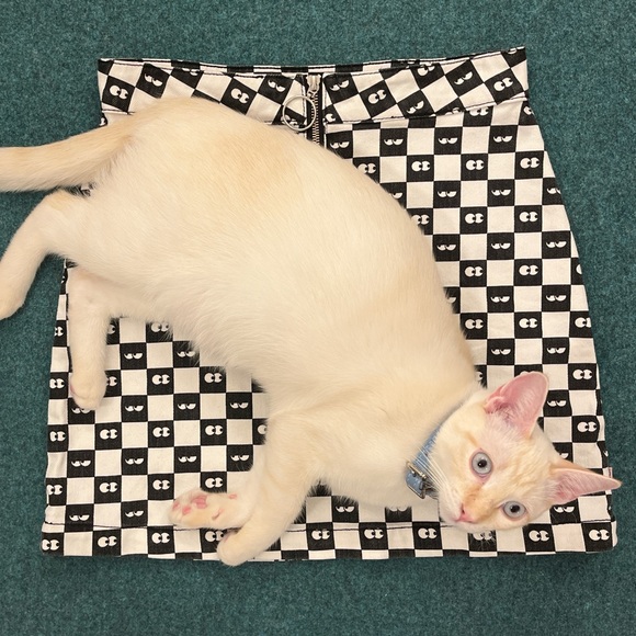 Lazy Oaf x Vans Checkerboard Denim Skirt 👀 - Picture 5 of 5